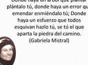 problema trata resolverlo esperes alguien haga