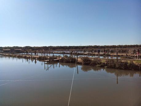 Pesca Segura: Salinas Astur Punta Umbria y doradita a la sal Pesca Segura: Salinas Astur Punta Umbria y doradita a la sal