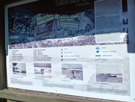 Pesca Segura: Salinas Astur Punta Umbria y doradita a la sal Pesca Segura: Salinas Astur Punta Umbria y doradita a la sal