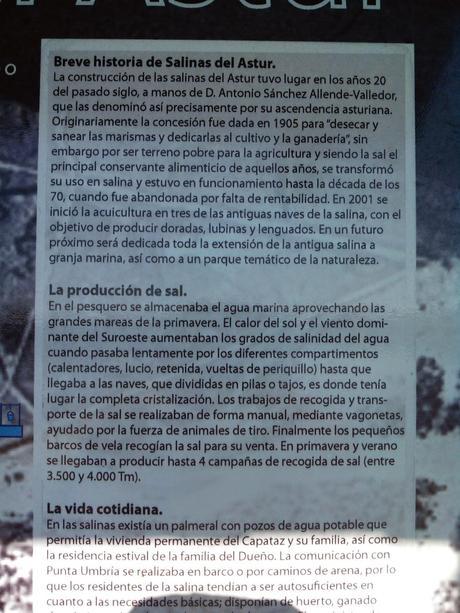 Pesca Segura: Salinas Astur Punta Umbria y doradita a la sal Pesca Segura: Salinas Astur Punta Umbria y doradita a la sal