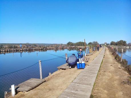 Pesca Segura: Salinas Astur Punta Umbria y doradita a la sal Pesca Segura: Salinas Astur Punta Umbria y doradita a la sal