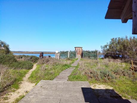 Pesca Segura: Salinas Astur Punta Umbria y doradita a la sal