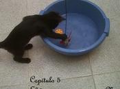 PINZAS Capítulo CONVERTÍ NINJA"