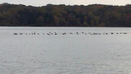UNA BELLA HISTORIA DE AMOR DE FE Y FIDELIDAD A DIOS