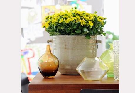 Plantas del otoño para decorar tu jardín