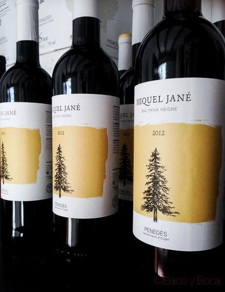 Bodegas-J-Miquel-Jane-bacoyboca-2