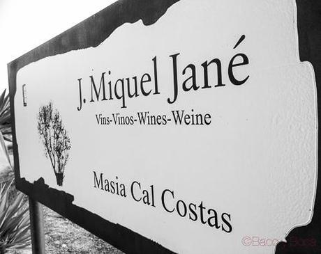 Bodegas-J-Miquel-Jane-bacoyboca