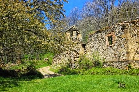 Un hechizo de belleza