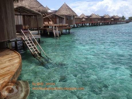 Nika Island Resort. Descripción y detalles.