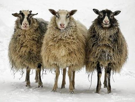 San Viernes de recadinos