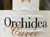 Vino Blanco Orchidea Cuvée 2009: Sauvignon Blanc bruto