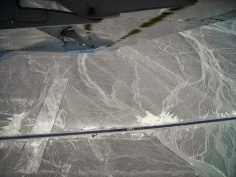 El colibrí. Líneas de Nazca. Perú