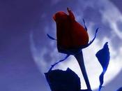 buscado luna plata...