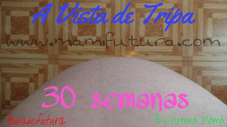 A Vista de Tripa XXVI