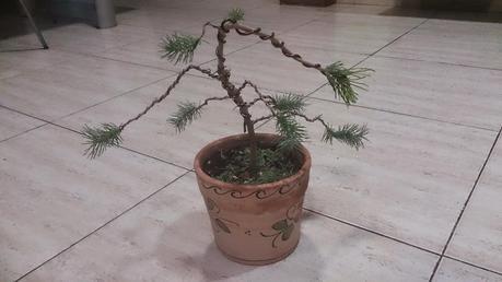 Ayudando a los amigos Ayudando a los amigos