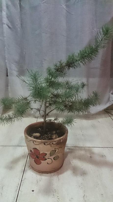 Ayudando a los amigos Ayudando a los amigos