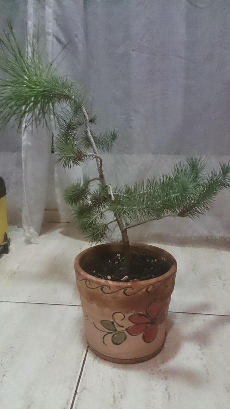 Ayudando a los amigos Ayudando a los amigos