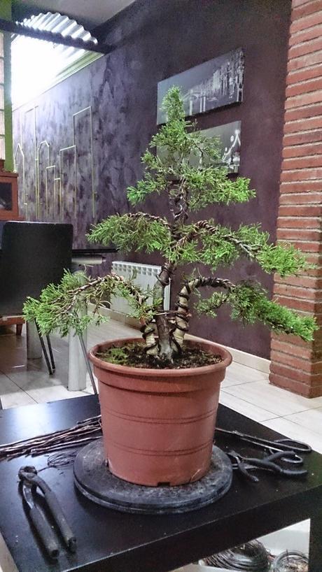 Ayudando a los amigos Ayudando a los amigos