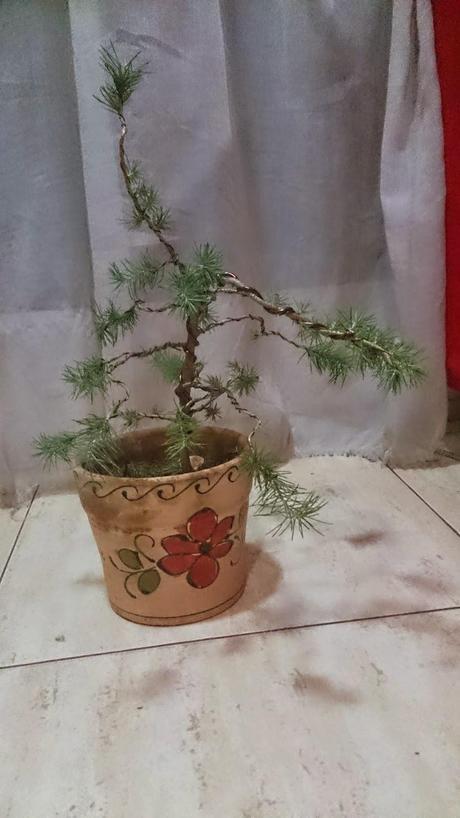 Ayudando a los amigos Ayudando a los amigos