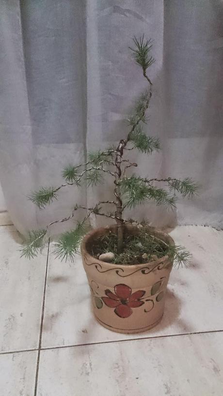 Ayudando a los amigos Ayudando a los amigos