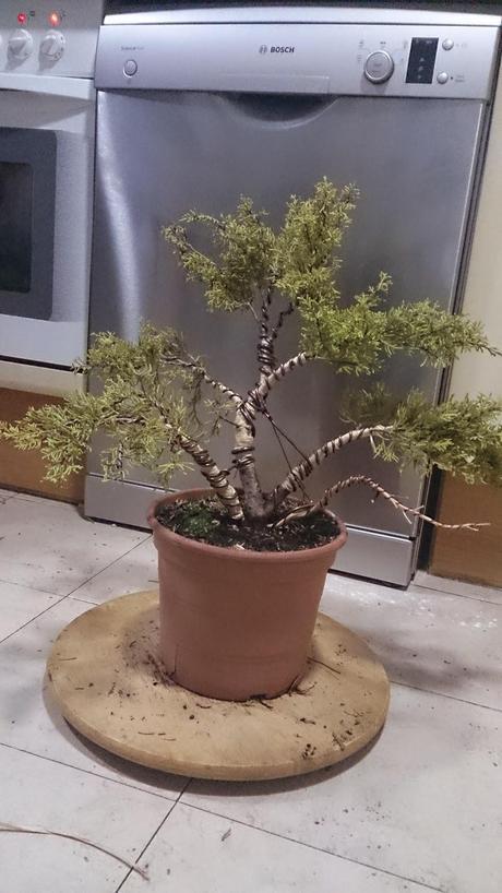 Ayudando a los amigos Ayudando a los amigos