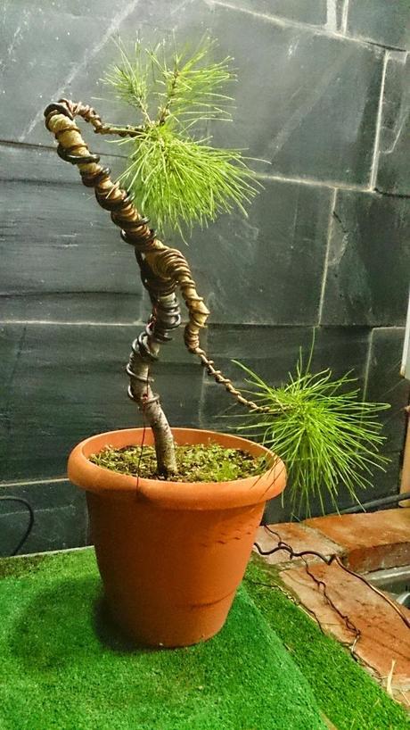 Ayudando a los amigos Ayudando a los amigos