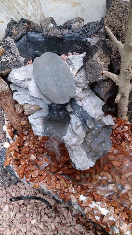 Diorama con Acers Campestres : 5- terminando la construccion . Diorama con Acers Campestres : 5- terminando la construccion .