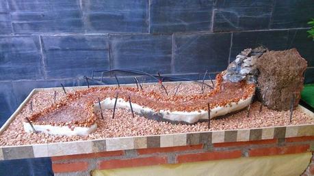 Diorama con Acers Campestres : 5- terminando la construccion . Diorama con Acers Campestres : 5- terminando la construccion .