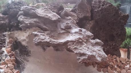 Diorama con Acers Campestres : 4- empiezo la construccion . Diorama con Acers Campestres : 4- empiezo la construccion .