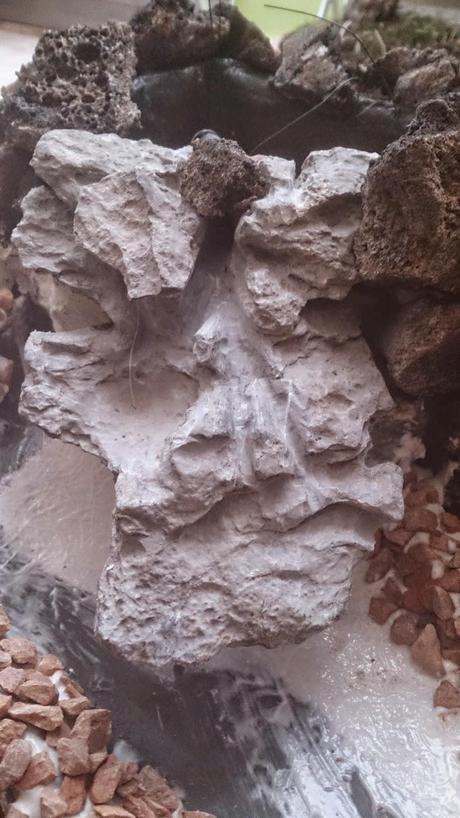 Diorama con Acers Campestres : 4- empiezo la construccion . Diorama con Acers Campestres : 4- empiezo la construccion .