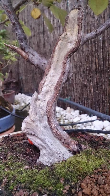 Trabajos de mantenimiento : toca jins y shares . Trabajos de mantenimiento : toca jins y shares .