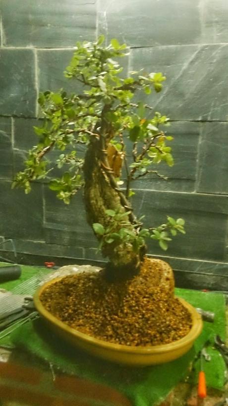 Un nuevo comienzo. Un nuevo comienzo.