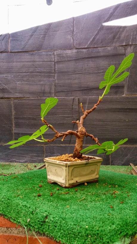 Los pequeños olvidados Los pequeños olvidados