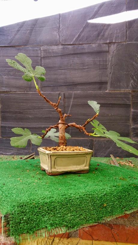 Los pequeños olvidados Los pequeños olvidados