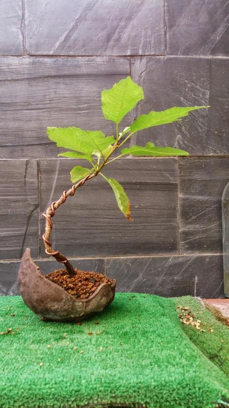 Los pequeños olvidados Los pequeños olvidados