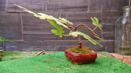 Los pequeños olvidados Los pequeños olvidados