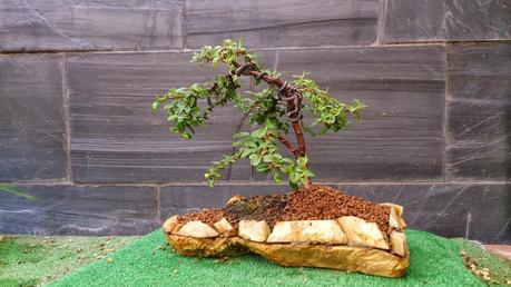 Los pequeños olvidados Los pequeños olvidados