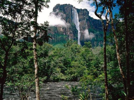 Highest Waterfall in the world Angel Falls, Venezuela