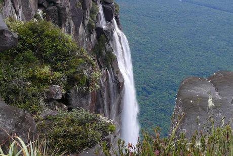 Spectacular Angel Falls in Canaima National Park