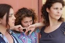 Gala de Inauguración del MCIB 2014: Premio CSCI de Honor  a Edoardo Winspeare