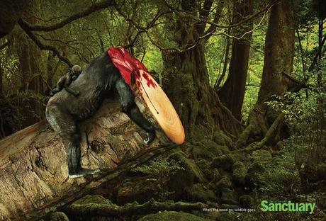 El terrible impacto de la deforestación