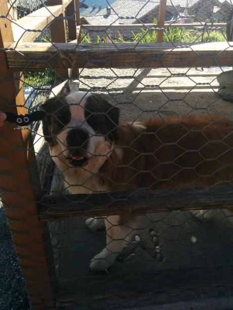 Val d'Isere y el Valle de Aosta, imágenes especulares