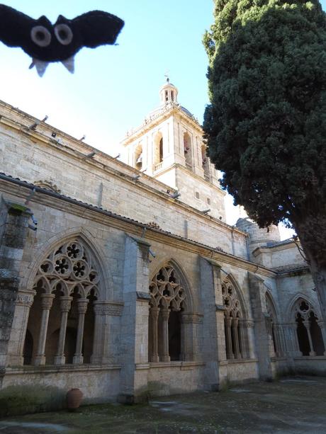 Ciudad Rodrigo, noble para nobles