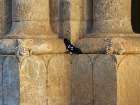 Ciudad Rodrigo, noble para nobles