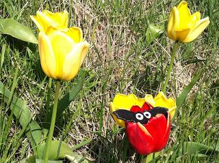 Tulipanes para todos