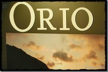Orio (15)
