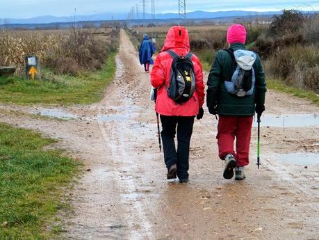 Sembrando el Camino de Santiago: de La Milla del Páramo a Villavante.