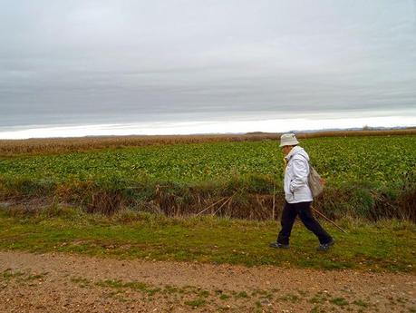 Sembrando el Camino de Santiago: de La Milla del Páramo a Villavante.