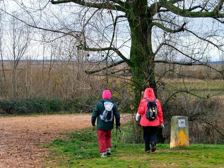 Sembrando el Camino de Santiago: de La Milla del Páramo a Villavante.