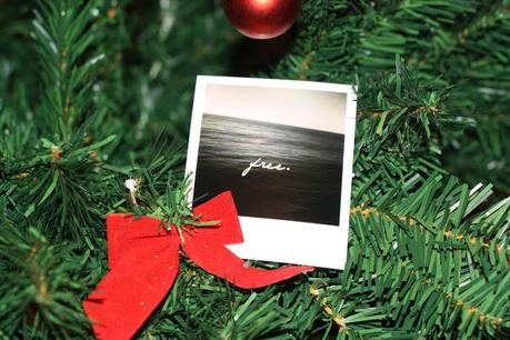 polabox, fotos, instagram